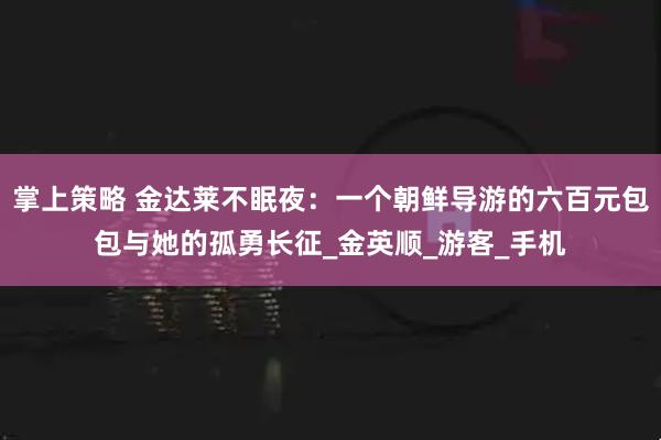 掌上策略 金达莱不眠夜：一个朝鲜导游的六百元包包与她的孤勇长征_金英顺_游客_手机