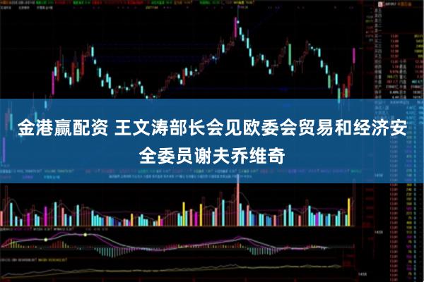 金港赢配资 王文涛部长会见欧委会贸易和经济安全委员谢夫乔维奇